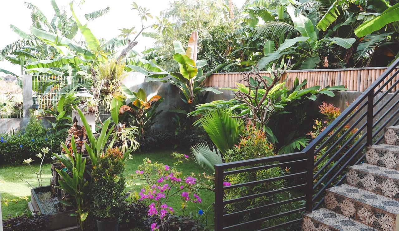 Pluto House Apartment Canggu  Exterior photo